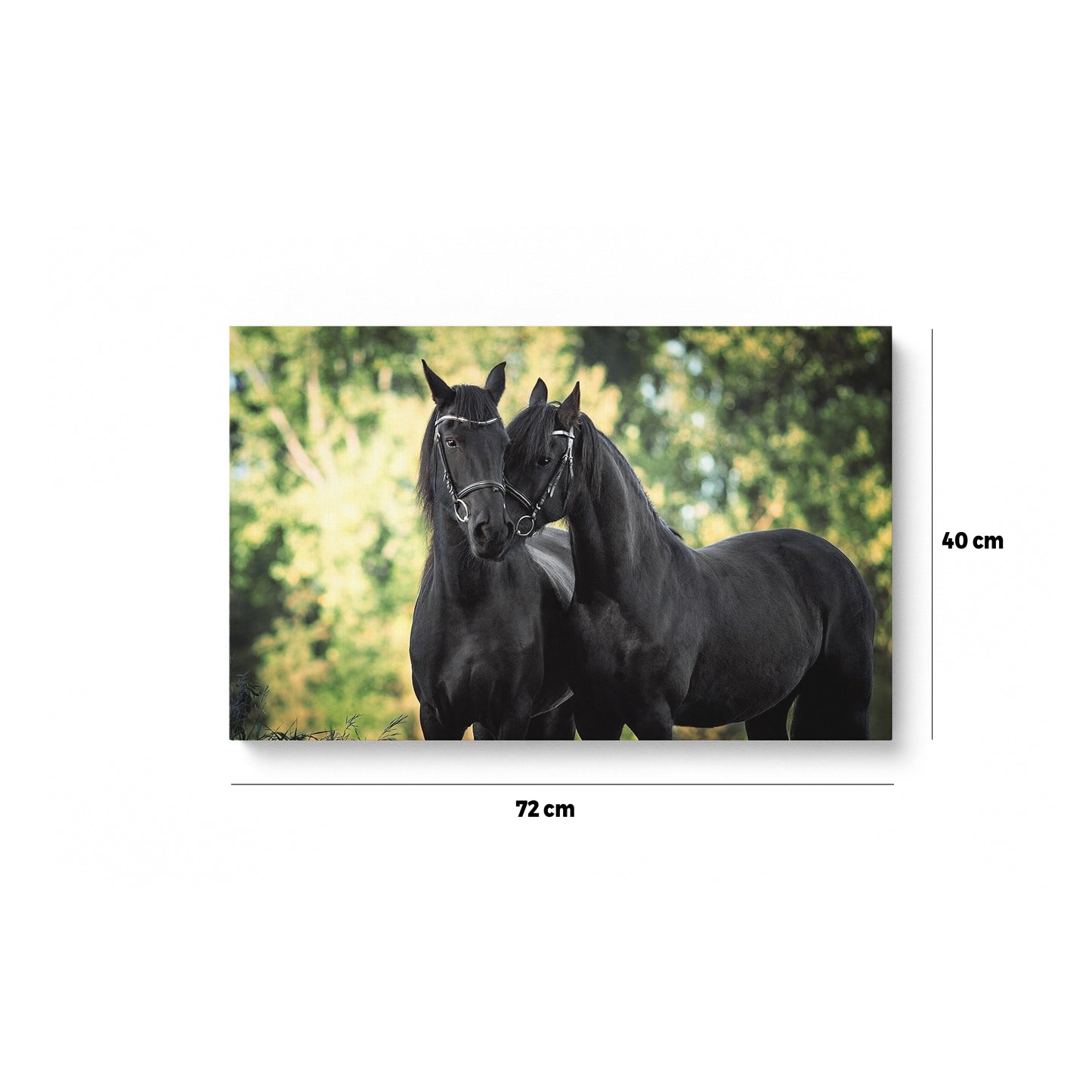 Horse Design 2